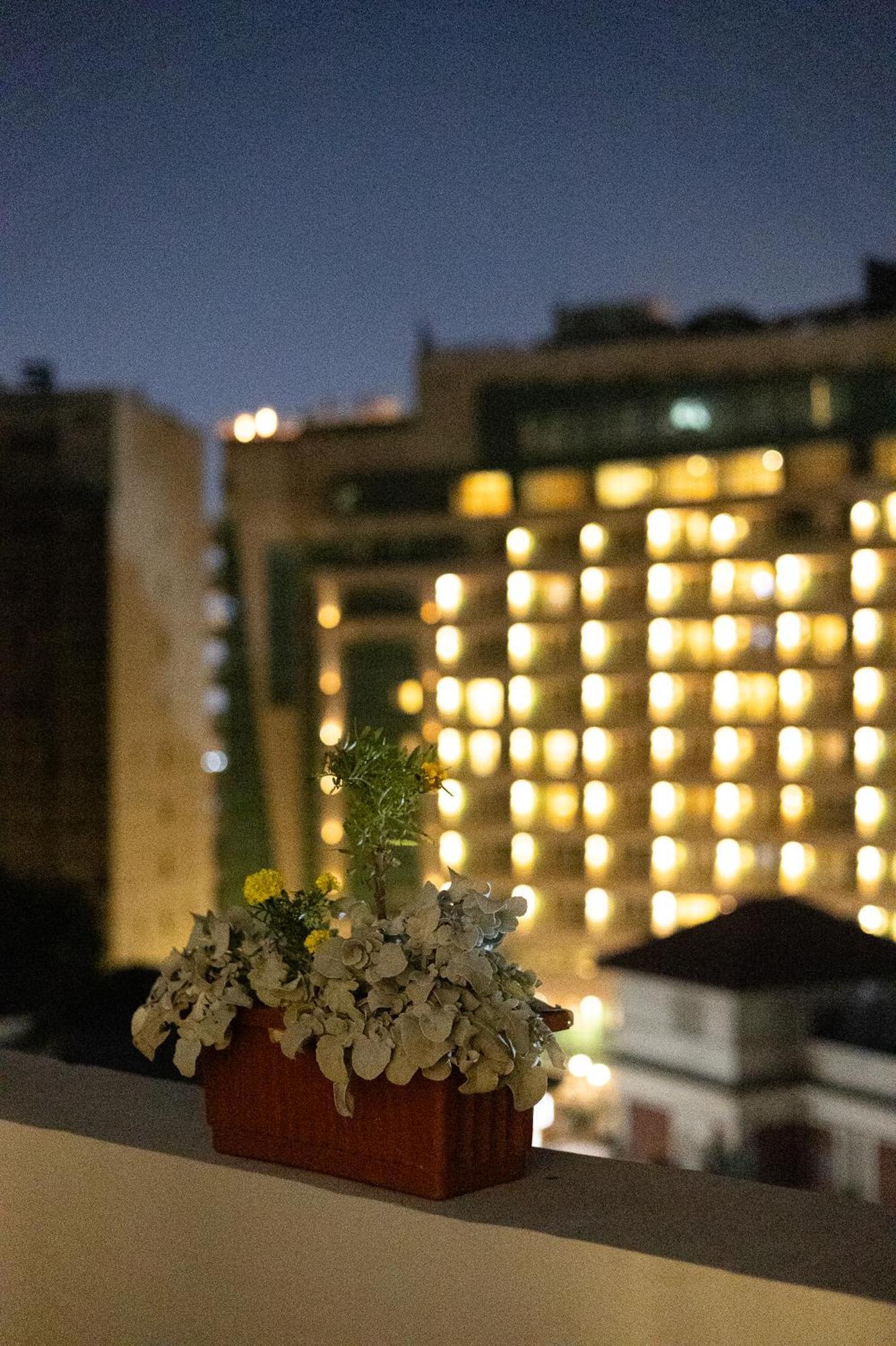 Chic Haven At Garden Apartment